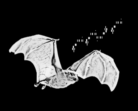  Angelo, Wudi, and Kevin’s paper on ‘Replay and representation dynamics in the hippocampus of freely flying bats’ is published today in Nature. Congratulations, Angelo, Wudi, and Kevin!!